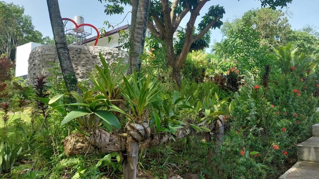 Matteo'S Hus Villa Rental Zamboanguita  Exteriör bild